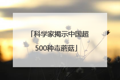 科学家揭示中国超500种毒蘑菇