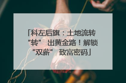 科左后旗：土地流转 “转” 出黄金路！解锁 “双薪” 致富密码