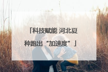 科技赋能 河北夏种跑出“加速度”