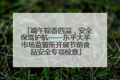 端午粽香四溢，安全保驾护航——东平大羊市场监管所开展节前食品安全专项检查
