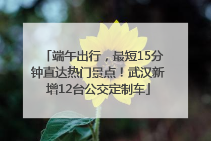 端午出行，最短15分钟直达热门景点！武汉新增12台公交定制车