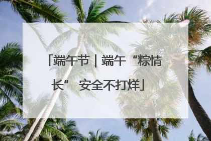 端午节｜端午“粽情长” 安全不打烊