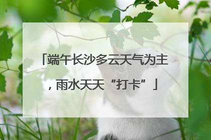 端午长沙多云天气为主，雨水天天“打卡”