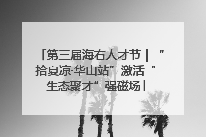 第三届海右人才节｜“拾夏凉·华山站”激活“生态聚才”强磁场