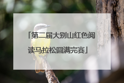 第二届大别山红色阅读马拉松圆满完赛