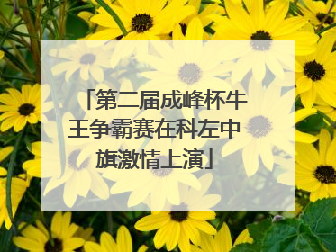 第二届成峰杯牛王争霸赛在科左中旗激情上演