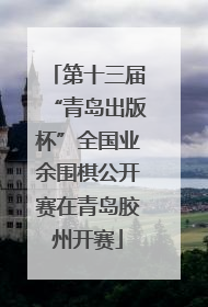 第十三届“青岛出版杯”全国业余围棋公开赛在青岛胶州开赛
