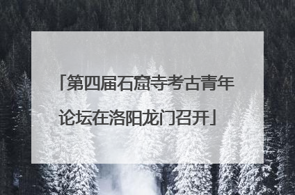 第四届石窟寺考古青年论坛在洛阳龙门召开