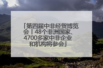 第四届中非经贸博览会丨48个非洲国家、4700多家中非企业和机构将参会