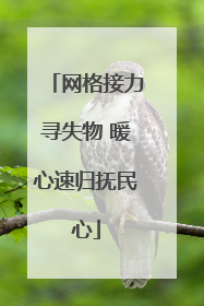 网格接力寻失物 暖心速归抚民心
