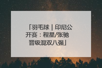 羽毛球｜印尼公开赛：程星/张驰晋级混双八强