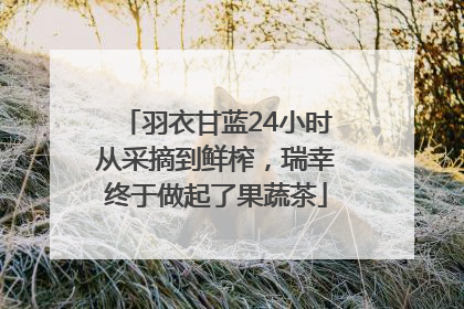羽衣甘蓝24小时从采摘到鲜榨，瑞幸终于做起了果蔬茶