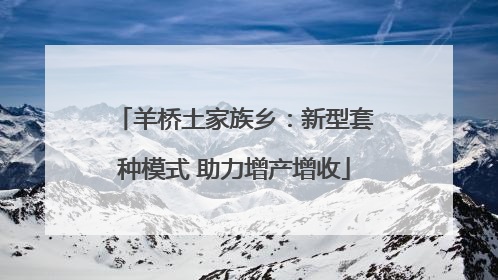 羊桥土家族乡：新型套种模式 助力增产增收