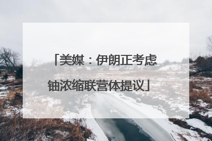 美媒：伊朗正考虑铀浓缩联营体提议