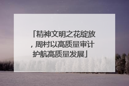 精神文明之花绽放，周村以高质量审计护航高质量发展