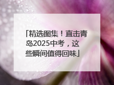 精选图集！直击青岛2025中考，这些瞬间值得回味