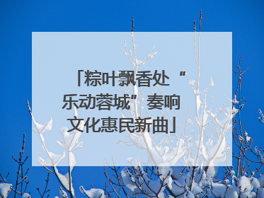 粽叶飘香处“乐动蓉城”奏响文化惠民新曲