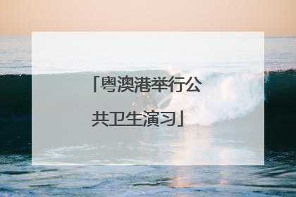 粤澳港举行公共卫生演习