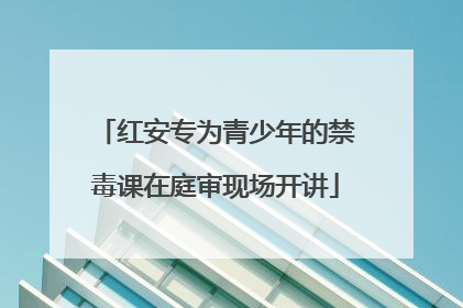 红安专为青少年的禁毒课在庭审现场开讲