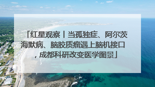 红星观察丨当孤独症、阿尔茨海默病、脑胶质瘤遇上脑机接口，成都科研改变医学图景