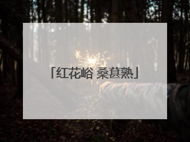红花峪 桑葚熟