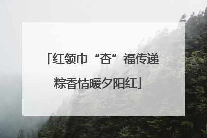 红领巾“杏”福传递 粽香情暖夕阳红