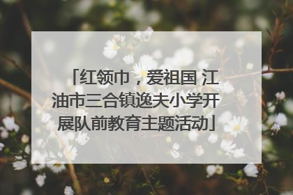 红领巾，爱祖国 江油市三合镇逸夫小学开展队前教育主题活动