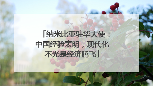纳米比亚驻华大使：中国经验表明，现代化不光是经济腾飞