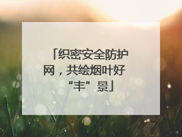 织密安全防护网，共绘烟叶好“丰”景