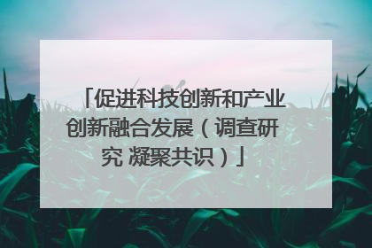 促进科技创新和产业创新融合发展（调查研究 凝聚共识）