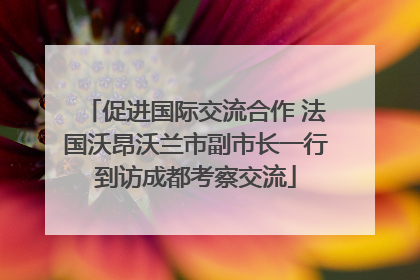 促进国际交流合作 法国沃昂沃兰市副市长一行到访成都考察交流
