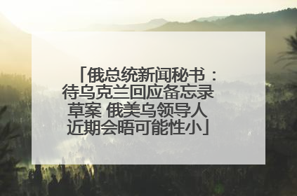 俄总统新闻秘书：待乌克兰回应备忘录草案 俄美乌领导人近期会晤可能性小