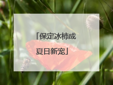 保定冰柿成夏日新宠