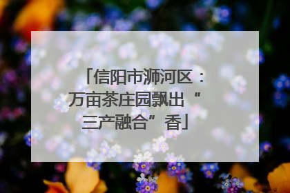 信阳市浉河区：万亩茶庄园飘出“三产融合”香