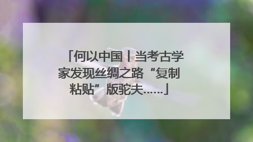 何以中国丨当考古学家发现丝绸之路“复制粘贴”版驼夫……