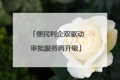 便民利企双驱动 审批服务再升级