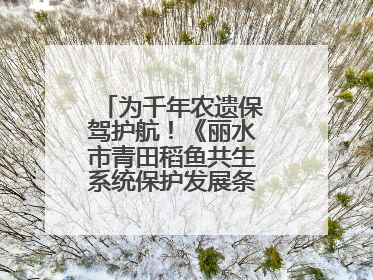 为千年农遗保驾护航！《丽水市青田稻鱼共生系统保护发展条例》正式施行