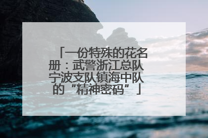 一份特殊的花名册：武警浙江总队宁波支队镇海中队的“精神密码”