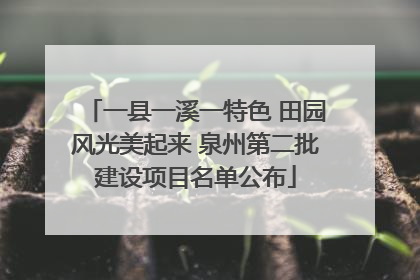 一县一溪一特色 田园风光美起来 泉州第二批建设项目名单公布