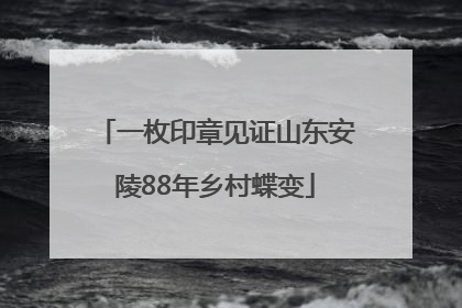 一枚印章见证山东安陵88年乡村蝶变