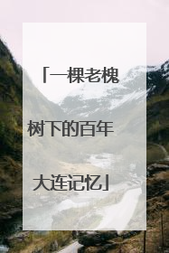 一棵老槐树下的百年大连记忆