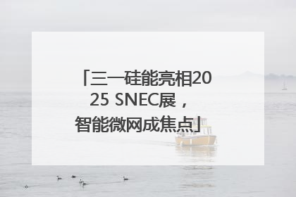 三一硅能亮相2025 SNEC展，智能微网成焦点