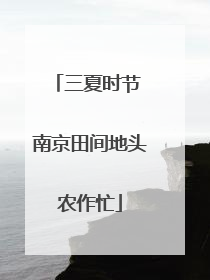 三夏时节 南京田间地头农作忙