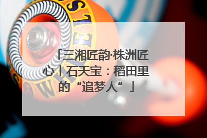 三湘匠韵·株洲匠心丨石天宝：稻田里的“追梦人”