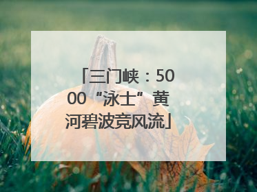 三门峡：5000“泳士”黄河碧波竞风流