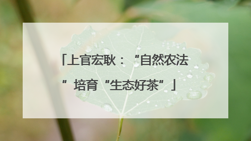 上官宏耿：“自然农法”培育“生态好茶”