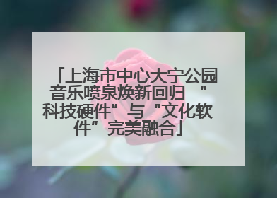 上海市中心大宁公园音乐喷泉焕新回归 “科技硬件”与“文化软件”完美融合