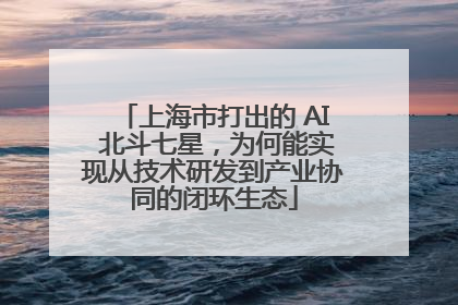 上海市打出的 AI 北斗七星，为何能实现从技术研发到产业协同的闭环生态