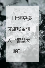 上海更多文旅场景引入“智慧大脑”