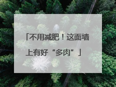不用减肥！这面墙上有好“多肉”